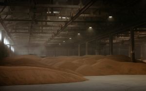 Фото елеватора Zakhidnyy konteynernyy terminal - компанія Zakhidnyy Konteynernyy Terminal (ZKT) - Тернопільська область - AgroPost