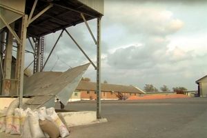 Фото элеватора Ahrarna kompaniia 2004 (Kotelianka): компания VITAGRO: Хмельницкая область