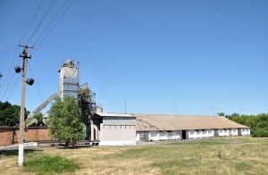 Фото элеватора Kublych Hreyn (Kublychske KhPP): компания Region Grain Company: Винницкая область