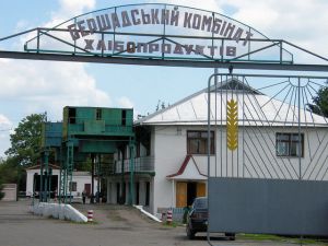 Фото елеватора Rivnenskyy elevator (Floryne) - компанія TESSLAGROUP - Вінницька область - AgroPost