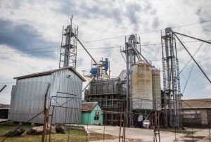 Фото элеватора Ahrosvit-Volyn (Zarichchia): компания Ahrosvit-Volyn: Волынская область