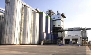 Фото елеватора Vendychanskyy elevator Epitsentr - компанія Epitsentr Ahro - Вінницька область - AgroPost