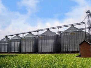 Фото елеватора Novo-Sanzarskyy elevator Chysta Krynytsia - компанія Chysta Krynytsia - Полтавська область - AgroPost