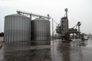 Фото елеватора Savertsi - компанія PSP Savertsi - Житомирська область - AgroPost