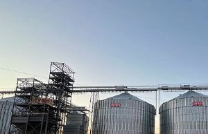Фото елеватора Dynastiia - компанія TOV Firma Dynastiia - Хмельницька область - AgroPost