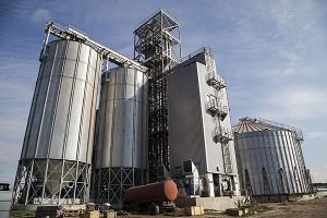 Фото елеватора Maiak (Podillia) - компанія STOV Maiak - Тернопільська область - AgroPost
