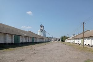 Фото елеватора Bozedarivskyy elevator - компанія Ristone Holdings - Дніпропетровська область - AgroPost