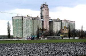 Фото елеватора P'iatykhatskyy elevator - компанія TPK Alef - Дніпропетровська область - AgroPost