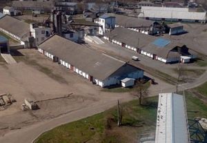 Фото елеватора Dmytrivske zernopererobne pidpryyemstvo - компанія TAS Ahro - Чернігівська область - AgroPost