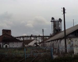 Фото елеватора Brovkivske KhPP - компанія DPZKU - Житомирська область - AgroPost