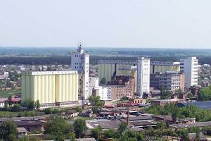 Фото элеватора Berdychivska solodova kompaniia: компания Ahrokholdynh OSSOYO: Zhitomirskaya Oblast’