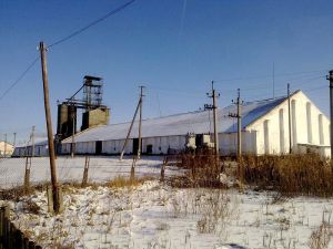 Фото элеватора Iablunetske KhPP: компания Iablunetskyy oliynyy zavod: Zhitomirskaya Oblast’
