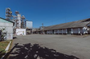 Фото елеватора Kulykivske KhPP (Pivnichkhlib) - компанія Grano Group - Чернігівська область - AgroPost