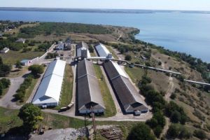 Фото елеватора Kam'ianka-Dniprovskyy elevator Blahovishchenskyy-Zernoprodukt - компанія TESSLAGROUP - Запорізька область - AgroPost