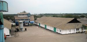 Фото елеватора Myronivske KhPP - Київська область - AgroPost