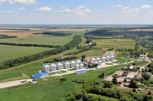 Фото елеватора Denykhivska filiia NIBULONa - компанія SP NIBULON - Київська область - AgroPost