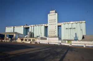 Фото елеватора OLAM Bilotserkivskyy elevator - компанія OLAM Group - Київська область - AgroPost