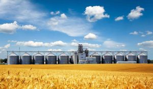 Фото елеватора Dobronadiyivske KhPP - компанія AHROVISTA - Кіровоградська область - AgroPost