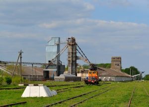 Фото элеватора Holovanivske KhPP: компания Sunolta (Sanolta Hrup): Кировоградская область