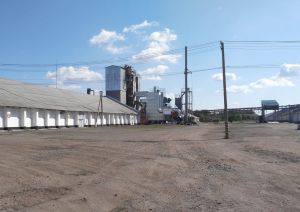 Фото елеватора Kernel elevator Kononivka - компанія Kernel - Черкаська область - AgroPost
