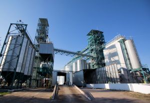 Фото елеватора Nosivske KhPP (NATAShA-AHRO) - компанія Ukrayinskyy ahrarnyy kholdynh - Чернігівська область - AgroPost