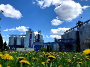 Фото елеватора Zerno-Ahrotreyd (Viytovetskyy elevator) - компанія ASTARTA - Хмельницька область - AgroPost