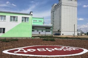 Фото элеватора Dobrodiia Fudz: компания Agricom Group: Черниговская область