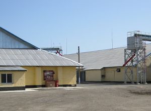 Фото елеватора Rozdollia (Hreyhivskyy elevator) - компанія PAEK - Миколаївська область - AgroPost