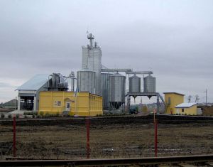 Фото элеватора Novoselytskyy elevator OEZ Bukovyna: компания Ahro Treydinh: Черновицкая область