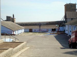 Фото елеватора Beryslavskyy zernovyy terminal - Херсонська область - AgroPost