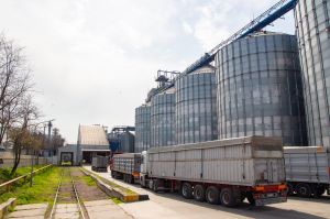 Фото елеватора Delta Vilmar Ukrayina - Одеська область - AgroPost