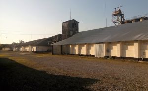 Фото елеватора Vestvan - Тернопільська область - AgroPost
