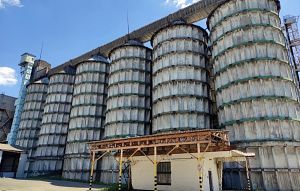 Фото елеватора Svativska oliia (vul. Zavodska) - компанія AHREKS - Луганська область - AgroPost