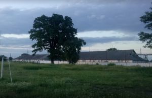 Фото елеватора Iuskivske KhPP - Полтавська область - AgroPost