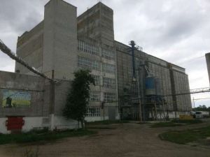 Фото елеватора Niusfera (Shostkynske boroshnomelne pidpryyemstvo) - компанія Niusfera - Сумська область - AgroPost